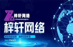 梓轩网络携手996M2参展 2021ChinaJoyBTOB